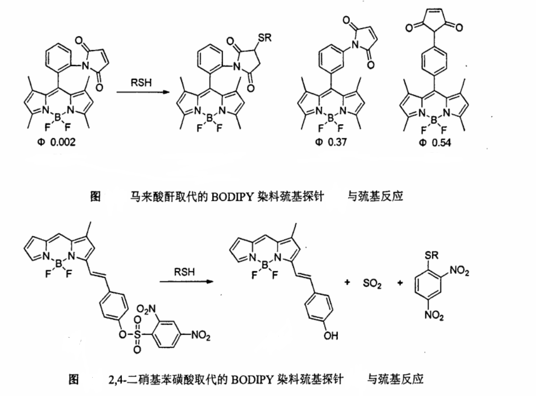 BODIPY FL基本信息