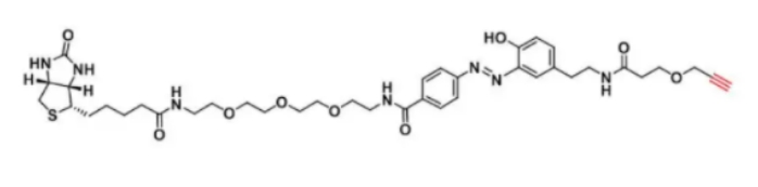 重氮生物素炔