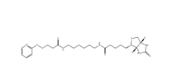 129179-83-5,Biotin-HPDP,雙硫鍵生物素交聯(lián)劑