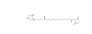 2411681-92-8      Desthiobiotin-PEG3-NHS ester	       脫硫生物素-三聚乙二醇-活性酯	