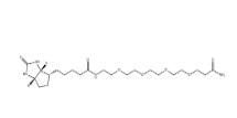 1603854-42-7         Biotin-PEG4-Amide		