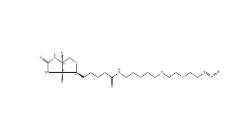 875770-34-6             Biotin-PEG4-azide/生物素四聚乙二醇疊氮		