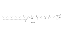 385437-57-0；磷脂PEG生物素；DSPE-PEG-Biotin	