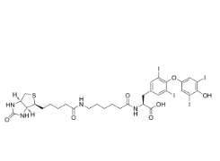  2278192-78-0       Biotin-hexanamide-(L-Thyroxine)	      生物素己酰胺-（L-甲狀腺素）	