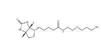 128915-82-2       Biotinyl Cystamine	生物素半胱胺	