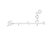 910036-44-1        甲基硫代磺酸2-[Nα-苯甲酰基苯甲酰氨基-N6-（6-生物素氨基己?；?L-賴氨酰胺基]乙基