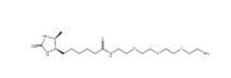 2237234-71-6        Desthiobiotin-PEG3-Amine	     脫硫生物素-三聚乙二醇-胺	