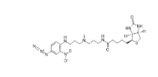 96087-37-5         Photobiotin	          光生物素	