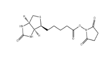 35013-72-0         NHS Biotin          	(+)生物素-N-琥珀酰亞胺基酯	