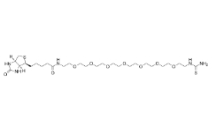 2353409-59-1         Biotin-PEG7-thiourea	生物素-七聚乙二醇-硫脲	