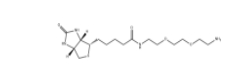 CAS號(hào)：138529-46-1;Biotin-PEG2-NH2;N-生物素-3,6-二氧辛烷-1,