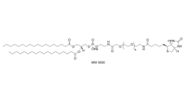 385437-57-0；Biotin-PEG2000-DSPE，DSPE-PEG2000-Biotin；生物素聚乙二醇磷脂