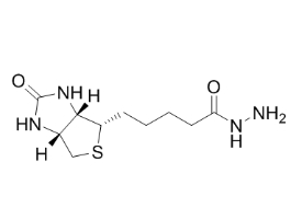 66640-86-6；Biotin hydrazide；生物素酰肼