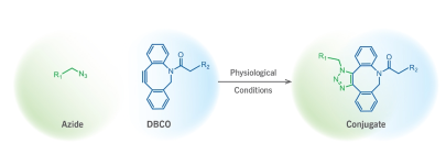 DSPE-PEG10000-DBCO，DBCO-PEG10k-DSPE，MW：10000            磷脂-聚乙二醇-二苯并環辛炔