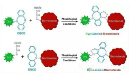 3，6-d二肼基-1，2，4，5-四嗪；3,6-d ihydra-zino-1,2,4,5-tetrazine(DHT)