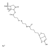 Sulfo-NHS-SS-Biotin sodium Chemical Structure,CAS: 325143-98-4