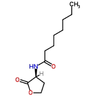 C8-HSL，CAS號：147852-84-4             瑞禧生物