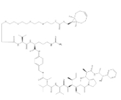 endo-BCN-PEG4-Val-Cit-PAB-MMAE，2762519-08-2，(1R,8S,9S)-雙環(huán)[6.1.0]壬-四聚乙二醇-VAL-CIT-PAB-MMAE