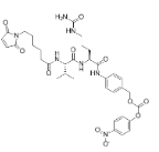 cas:159857-81-5  ，MC-Val-Cit-PAB-PNP，馬來酰亞胺基己酰-L-纈氨酸-L-瓜氨酸對氨基芐醇 對硝基苯基碳酸脂